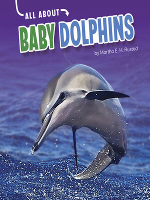 cover image of All About Baby Dolphins